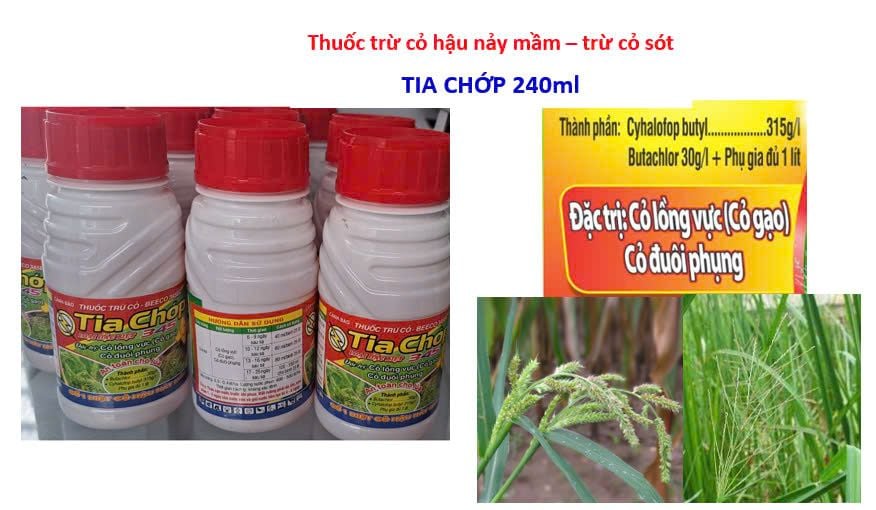 (240ml) Tia chớp 345, công ty Naka Nhật Bản: thuốc trừ cỏ hậu nảy mầm, trừ cỏ sót, trừ cỏ lồng vực, cỏ đuôi phụng, cỏ gạo