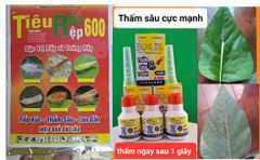 Tiêu rầy rệp 80gam, Chavez 600wp: trừ Rầy xanh, rầy nhảy, rầy phấn, rầy nâu, Rệp sáp, bọ trĩ, Bọ Xít - Diệt Trứng Và Côn Trùng Chích Hút
