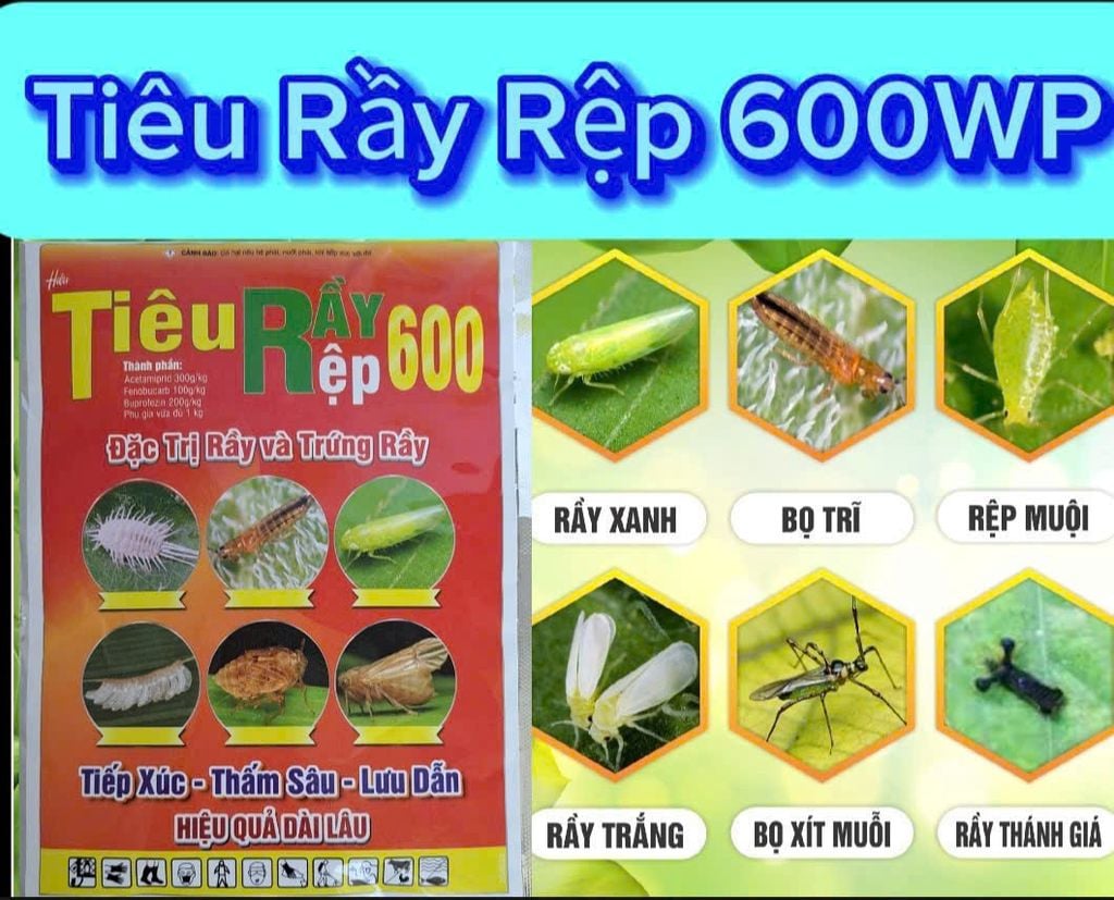 Tiêu rầy rệp 80gam, Chavez 600wp: trừ Rầy xanh, rầy nhảy, rầy phấn, rầy nâu, Rệp sáp, bọ trĩ, Bọ Xít - Diệt Trứng Và Côn Trùng Chích Hút