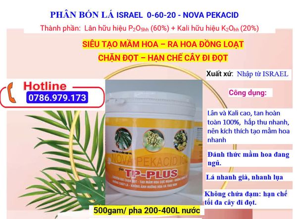 (500gam) Nova pekacid 0-60-20, Siêu tạo mầm hoa, kích ra hoa đồng loạt, chặn đọt, không gây cháy lá