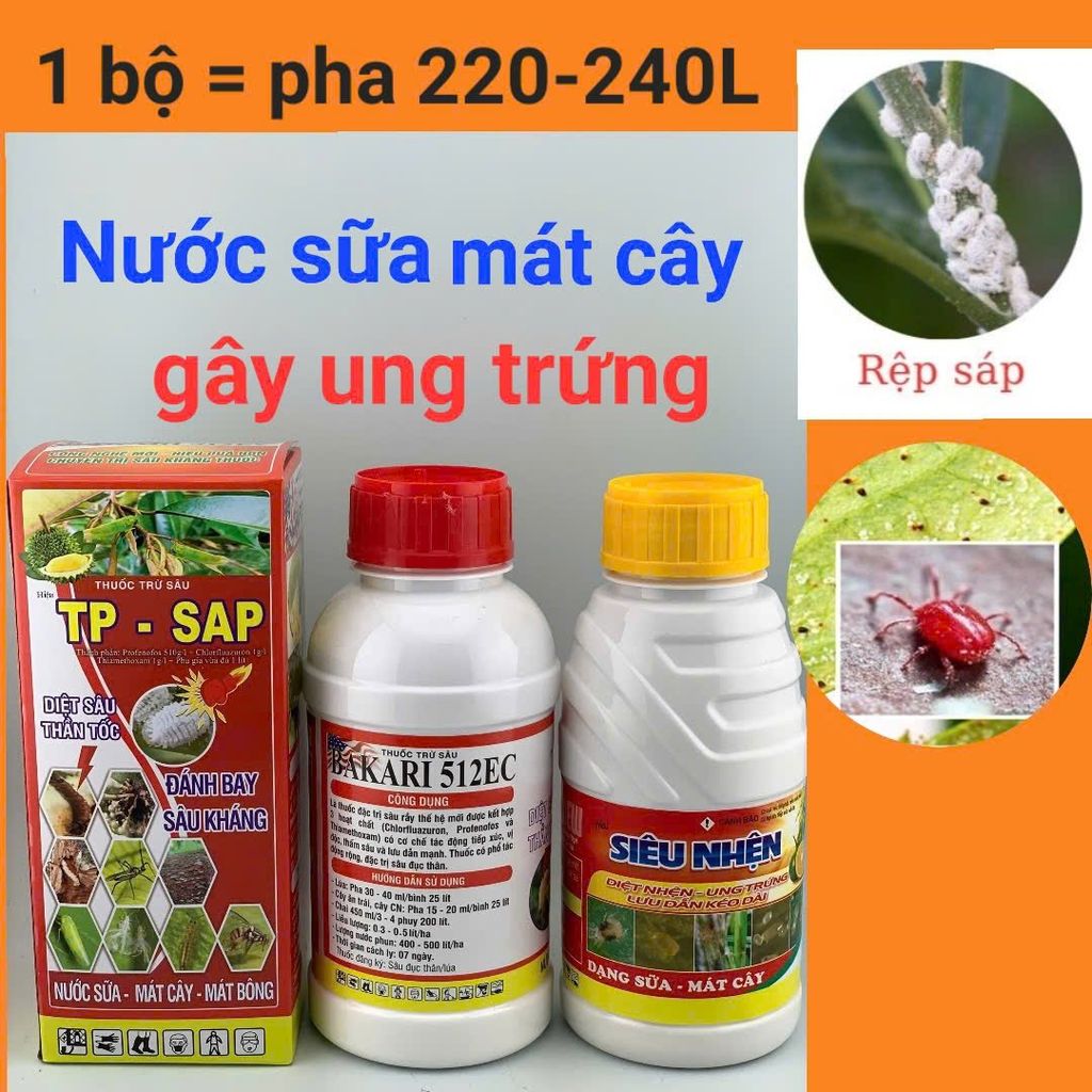 (Rệp sáp + nhện cây đào) Phòng trừ rệp sáp trên cây đào và trừ nhện đỏ, gây ung trứng trên cây đào, không nóng, mát cây, mát bông