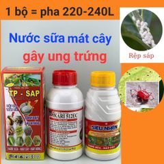 (Rệp sáp + nhện cây đào) Phòng trừ rệp sáp trên cây đào và trừ nhện đỏ, gây ung trứng trên cây đào, không nóng, mát cây, mát bông
