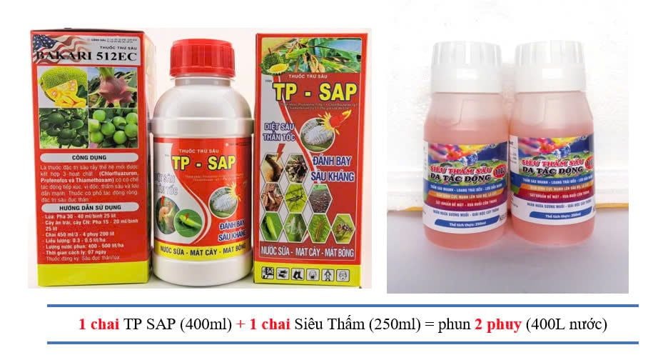 (chuyên rệp sáp) phòng trừ rệp sáp trên mít, sầu riêng, cà phê, rệp sáp mãng cầu, rệp sáp xoài, bưởi