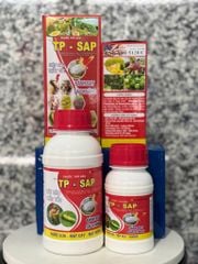 (Rệp sáp cây đào) Phòng trừ rệp sáp gây hại cây đào, không nóng, mát cây, mát bông