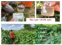 (khổ qua, mướp đắng) Gói AT Army 30gam: diệt rầy xanh khổ qua, bọ trĩ, rầy phấn và rầy mềm trên khổ qua