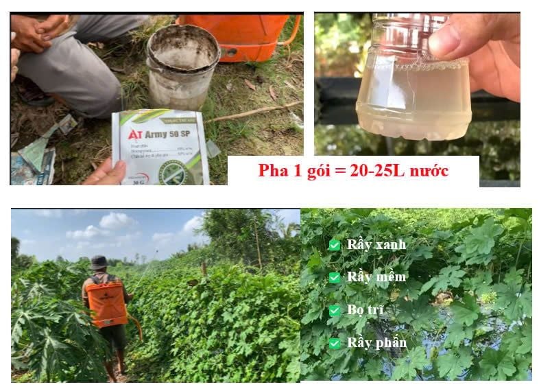 (Phun rau màu) bộ đôi trừ rầy xanh rau màu, rầy xanh khổ qua, bọ trĩ, rệp sáp, rầy phấn - sương mai, đốm lá, thán thư trên rau màu, cây khổ qua