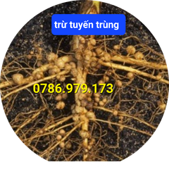 Thuốc trừ bệnh KAIDO 50SL - Sạch Tuyến Trùng 450ml: gốc chitosan, trừ tuyến trùng rễ,  và dưỡng rễ sầu riêng, mít, cà phê, hồ tiêu
