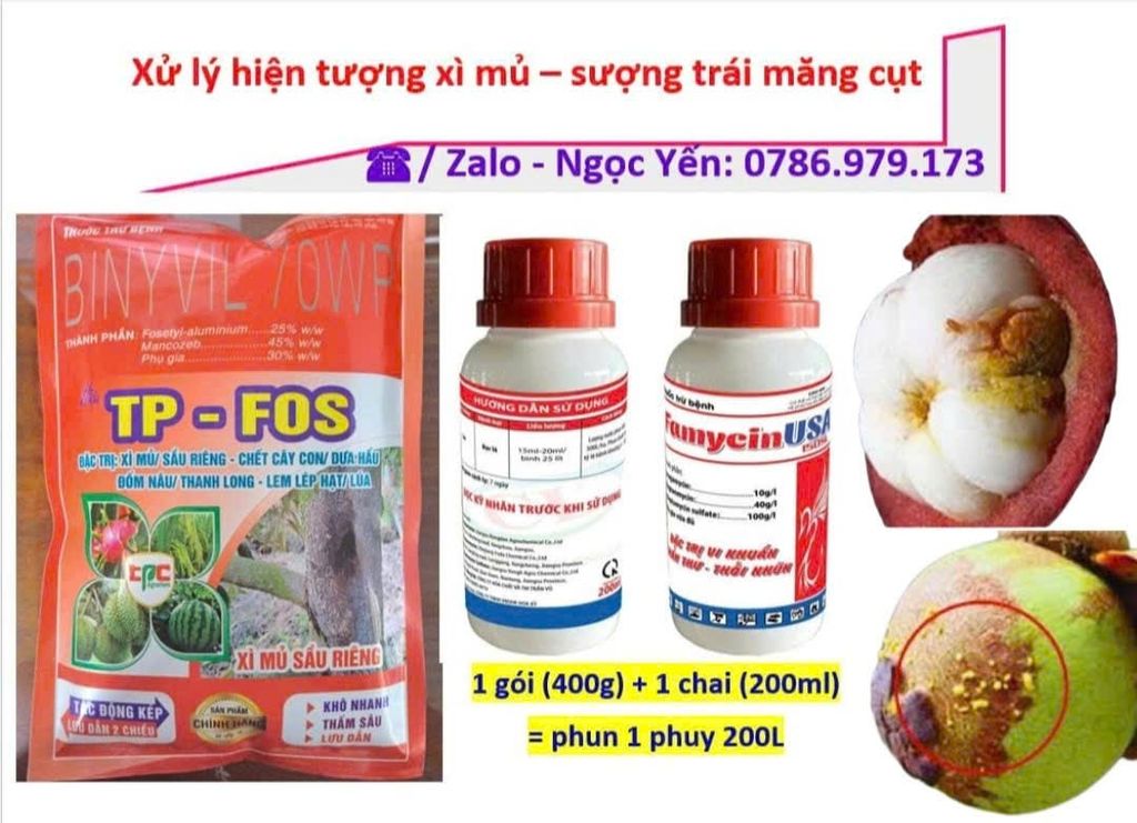 Combo phòng ngừa hiện tượng xì mủ, sượng trái măng cụt
