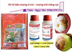 Combo phòng ngừa hiện tượng xì mủ, sượng trái măng cụt