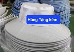 Thuốc trừ sâu Tvpymemos 300WP 100g, tp ray 100gam: đặc trị rệp sáp, rầy nâu lúa