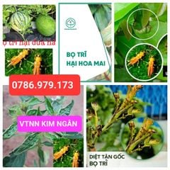 Bọ trĩ 20ml, thuốc trừ bọ trĩ lúa, bọ trĩ hoa mai, bọ trĩ hoa hồng, bọ trĩ hoa cúc, trừ bọ trĩ dưa hấu, bọ trĩ ớt