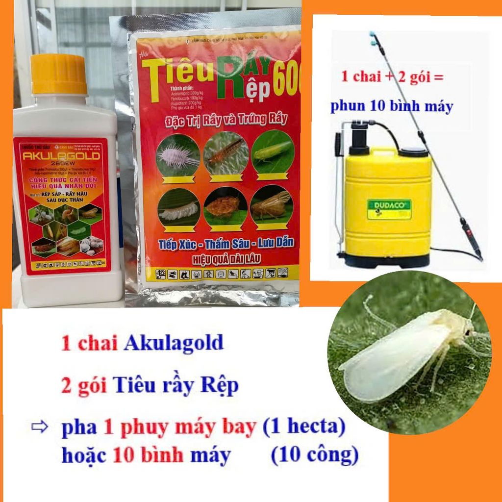 Diệt rầy phấn trắng trên lúa, diệt cả rầy gối lứa bằng 6 hoạt chất