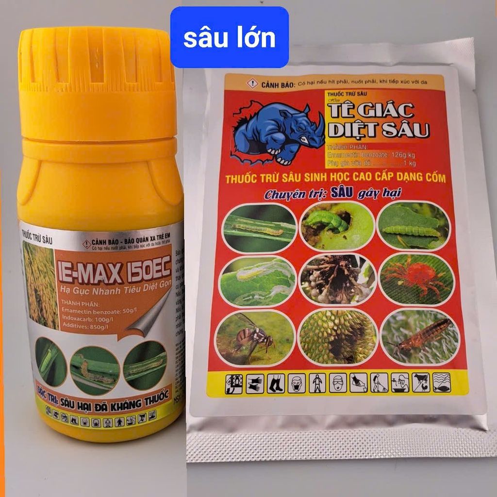 Diệt sâu xanh da láng hại hành, diệt sâu ống hành (hành lá và hành tím) đã kháng thuốc
