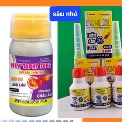 Diệt sâu xanh da láng hại hành, diệt sâu ống hành (hành lá và hành tím) đã kháng thuốc
