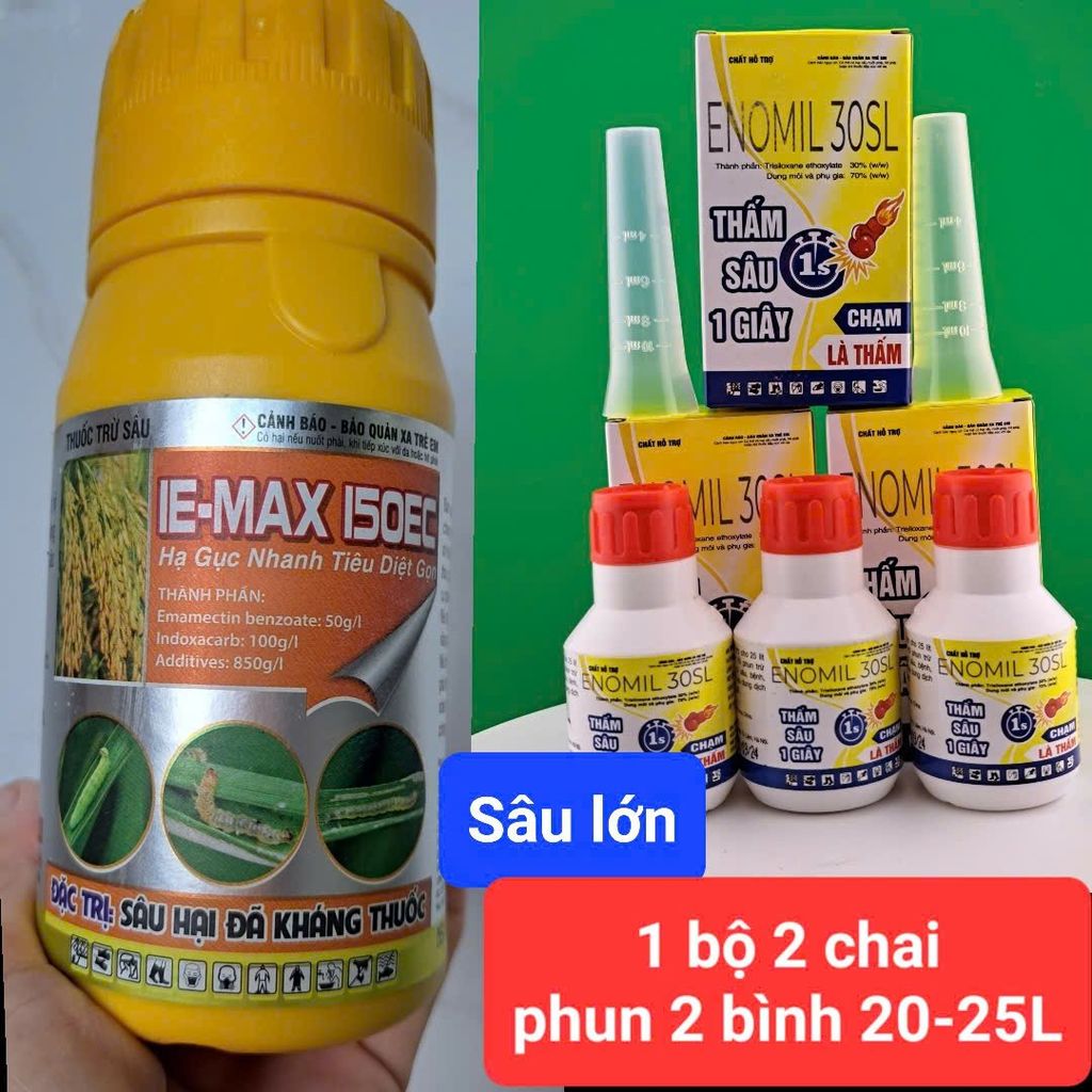 Diệt sâu xanh da láng hại hành, diệt sâu ống hành (hành lá và hành tím) đã kháng thuốc