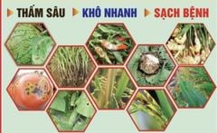 (25gam, 100gam) Thuốc trừ nấm bệnh Fugi max, Amisupertop 500wp: trị bệnh gỉ do nấm, thối củ, ghẻ sẹo, loét, thối quả, thán thư, vàng lá chín sớm, lem lép hạt, khô vằn