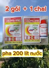 Bộ đôi đặc trị thán thư và rửa bông xoài, rửa trái xoài - rửa mắt cua, bông sầu riêng, rửa trái sầu riêng, rửa nước mưa, rửa sương muối do mưa