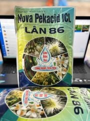 Phân bón lá Lân 86 1kg : Kích Ra Hoa Trái Mùa, Tạo Mầm Hoa, Ra Hoa Đồng Loạt, Xử Lý Ra Hoa Nghịch Mùa