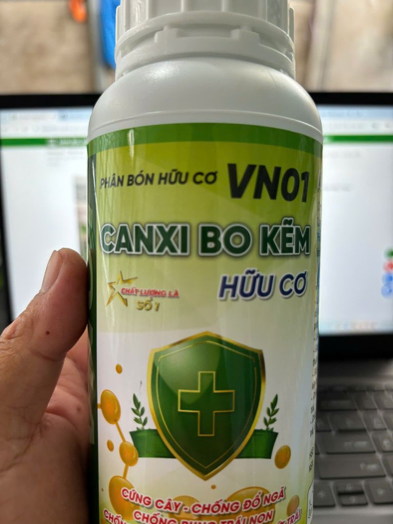(măng cụt) Bộ đôi Chống rụng bông và rụng trái non - Cây măng cụt đang có bông, cần dưỡng bông và trái non măng cụt