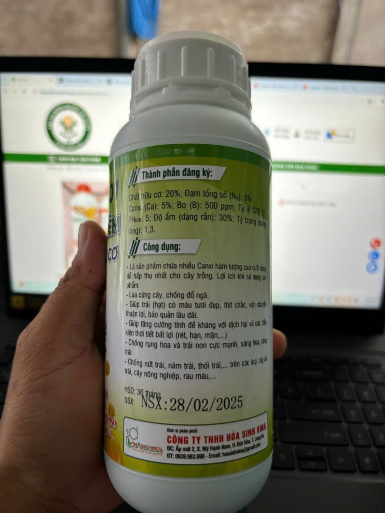 (măng cụt) Bộ đôi Chống rụng bông và rụng trái non - Cây măng cụt đang có bông, cần dưỡng bông và trái non măng cụt