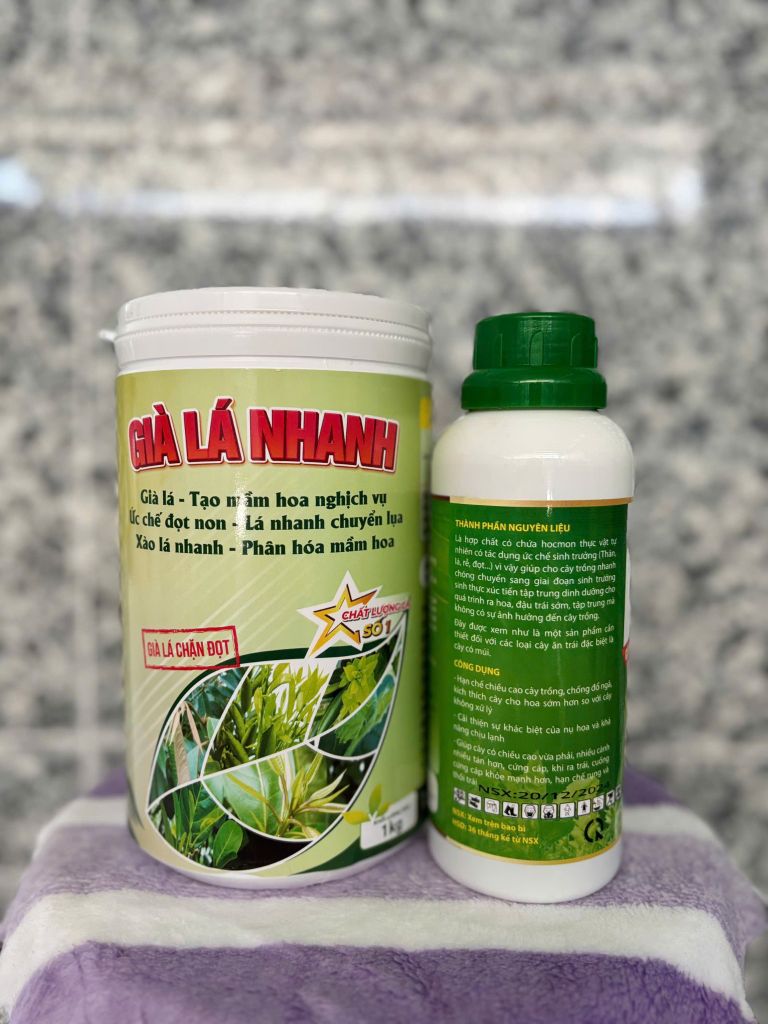Combo CHẶN ĐỌT, GIÀ LÁ NHANH cực mạnh không suy cây, chuyển hóa sinh trưởng sang sinh sản, tạo mầm hoa, ức chế đọt non, lá chuyển lụa, phân hóa mầm hoa