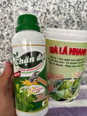Combo CHẶN ĐỌT, GIÀ LÁ NHANH cực mạnh không suy cây, chuyển hóa sinh trưởng sang sinh sản, tạo mầm hoa, ức chế đọt non, lá chuyển lụa, phân hóa mầm hoa