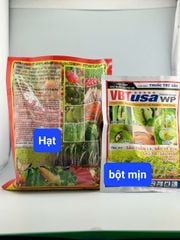 Bộ đôi trị đuông dừa gây hại, diệt luôn sâu đất, sùng đất, tuyến trùng rễ, dế nhủi, kiến