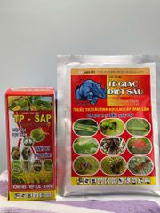 Quản lý rệp sáp và sâu đục trái trên mãng cầu (trái na)