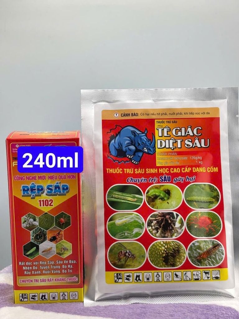 Quản lý rệp sáp và sâu đục trái trên mãng cầu (trái na)