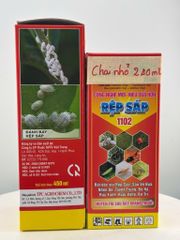 Chuyên trị rệp sáp trên cây ăn trái, cây công nghiệp