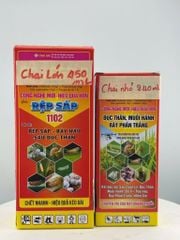 Chuyên trị rệp sáp trên cây ăn trái, cây công nghiệp