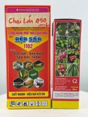 Chuyên trị rệp sáp trên cây ăn trái, cây công nghiệp