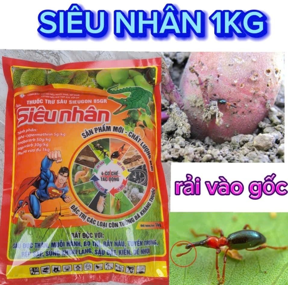 Thuốc Tưới Gốc, Rải Gốc Phòng Trị Sùng Hà, bọ Hà Trên Khoai Lang