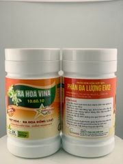 (Hộp 500g) Ra Hoa 10.60.10: giúp Vọt Hoa, Ra Hoa Đồng Loạt, Phân Hoá Mầm Hoa, Chống Nghẹn Đọt