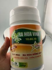 (Hộp 500g) Ra Hoa 10.60.10: giúp Vọt Hoa, Ra Hoa Đồng Loạt, Phân Hoá Mầm Hoa, Chống Nghẹn Đọt