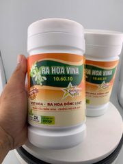 (Hộp 500g) Ra Hoa 10.60.10: giúp Vọt Hoa, Ra Hoa Đồng Loạt, Phân Hoá Mầm Hoa, Chống Nghẹn Đọt