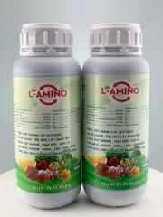 (500ml) L- Amino Phục Hồi Nhanh Cây Suy Vàng, Ra Rễ Mạnh - Trẻ Hoá Cây Xanh Tốt, Bung Đọt Nhanh - Mập Đọt - Dày Lá, Vọt Bông Nhanh - Đồng Loạt - Mập Bông, Tăng Đậu Trái - Trái Lớn Nhanh - Đẹp Trái