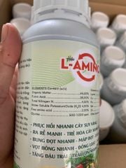 (500ml) L- Amino Phục Hồi Nhanh Cây Suy Vàng, Ra Rễ Mạnh - Trẻ Hoá Cây Xanh Tốt, Bung Đọt Nhanh - Mập Đọt - Dày Lá, Vọt Bông Nhanh - Đồng Loạt - Mập Bông, Tăng Đậu Trái - Trái Lớn Nhanh - Đẹp Trái