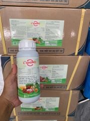 (500ml) L- Amino Phục Hồi Nhanh Cây Suy Vàng, Ra Rễ Mạnh - Trẻ Hoá Cây Xanh Tốt, Bung Đọt Nhanh - Mập Đọt - Dày Lá, Vọt Bông Nhanh - Đồng Loạt - Mập Bông, Tăng Đậu Trái - Trái Lớn Nhanh - Đẹp Trái