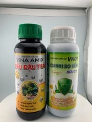 (măng cụt) Bộ đôi Chống rụng bông và rụng trái non - Cây măng cụt đang có bông, cần dưỡng bông và trái non măng cụt