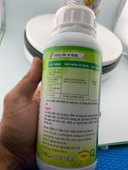 (nhãn) Bộ đôi siêu đậu trái nhãn - Dưỡng bông, Chống rụng bông nhãn và chống rụng trái non - Kích lớn trái