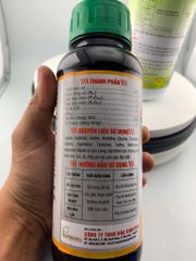(nhãn) Bộ đôi siêu đậu trái nhãn - Dưỡng bông, Chống rụng bông nhãn và chống rụng trái non - Kích lớn trái