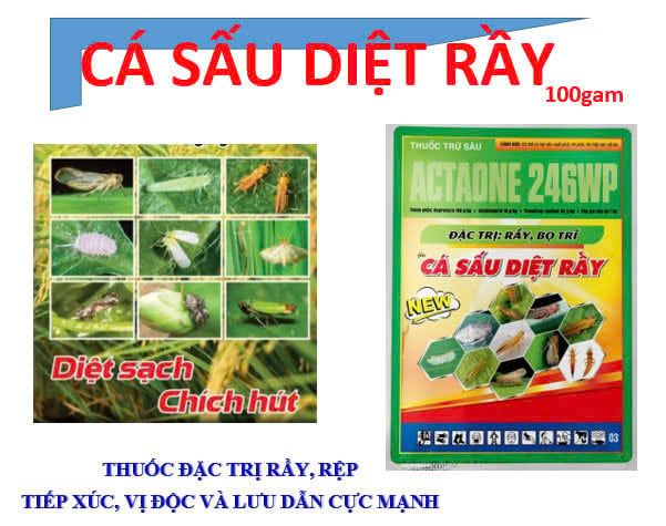 Cá sấu diệt rầy 100g (Actaone 246WP) - trừ rầy nâu, rầy xanh, rầy phấn trắng, rầy mềm, rầy bông, rệp sáp, bọ trĩ, bọ nhảy, bọ rùa.