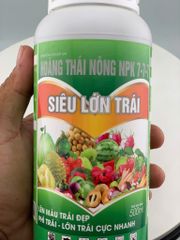 (Lớn trái mít) Bộ đôi lớn trái mít, trái to tròn đều, hạn chế méo trái, nở gai hết cỡ, múi mít to, nặng ký