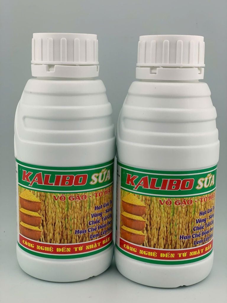 (500ml) Kali bo sữa, siêu vô gạo, vô gạo nhanh, to hạt