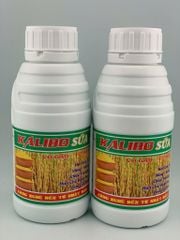 (500ml) Kali bo sữa, siêu vô gạo, vô gạo nhanh, to hạt