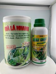 Bộ đôi Dìu Đọt và Già Lá Nhanh sầu riêng: đứng đọt, già lá nhanh, lá nhanh chuyển lụa, không suy cây, không ảnh hưởng cây