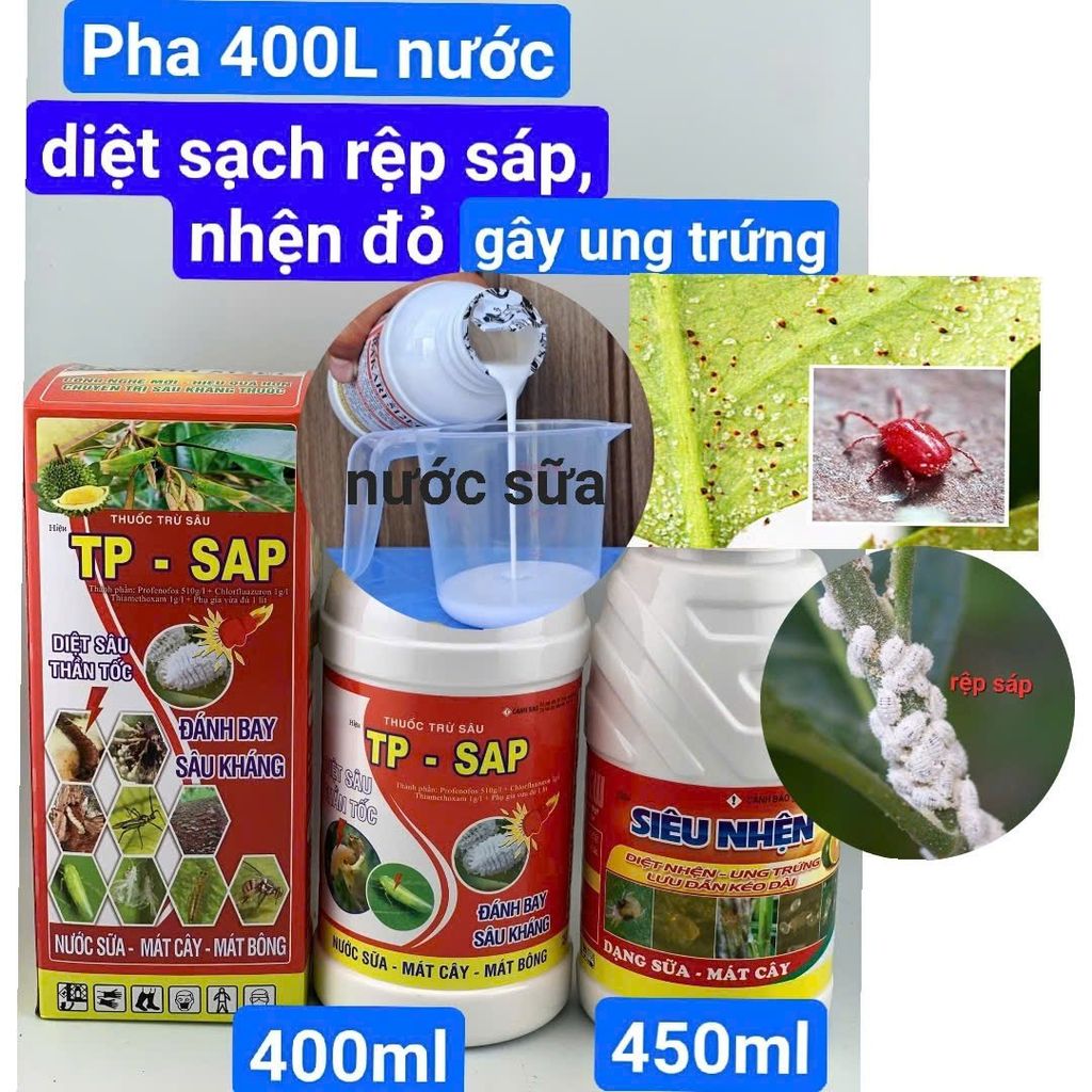 (Rệp sáp + nhện cây đào) Phòng trừ rệp sáp trên cây đào và trừ nhện đỏ, gây ung trứng trên cây đào, không nóng, mát cây, mát bông