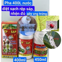 (Rệp sáp + nhện cây đào) Phòng trừ rệp sáp trên cây đào và trừ nhện đỏ, gây ung trứng trên cây đào, không nóng, mát cây, mát bông