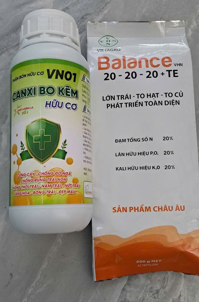 (Lớn trái mít) Bộ đôi lớn trái mít, trái to tròn đều, hạn chế méo trái, nở gai hết cỡ, múi mít to, nặng ký